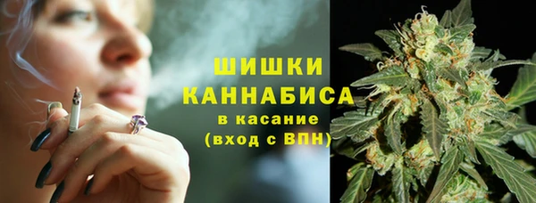 дурь Бронницы