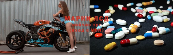 эйфоретик Бородино