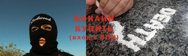 дурь Бронницы