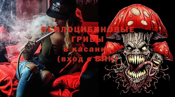 эйфоретик Бородино