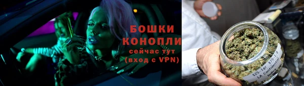 дурь Бронницы
