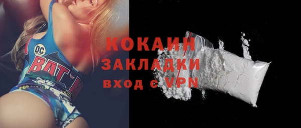 эйфоретик Бородино