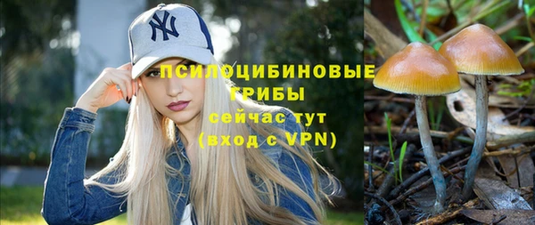 мяу мяу мука Ижевск