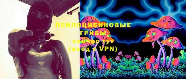 дурь Бронницы