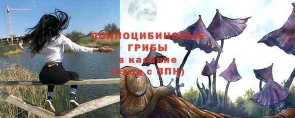 дурь Бронницы