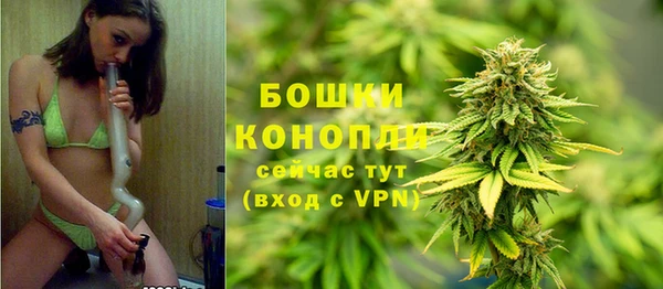 дурь Бронницы
