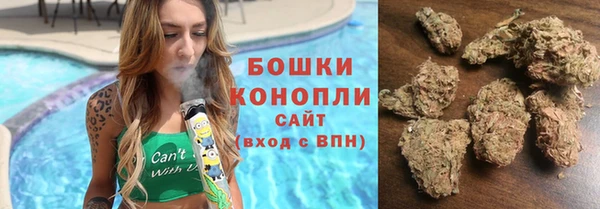 дурь Бронницы