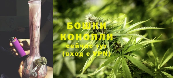 дурь Бронницы