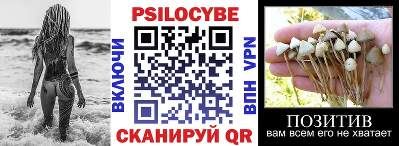 Галлюциногенные грибы мицелий  купить наркотик  Венёв 